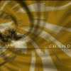 Chandra- Hic et Nunc