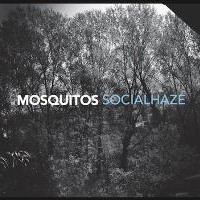 Mosquitos- Socialhaze