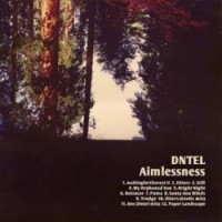 DNTEL - Aimlessness