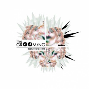 The Grooming- Thisconnect