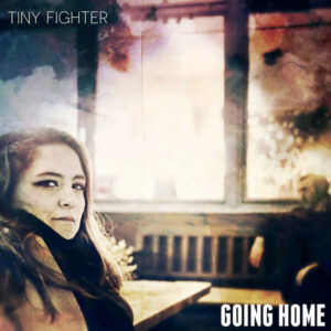 Tiny Fighter Going Home recensione